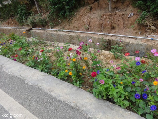 DSC08647