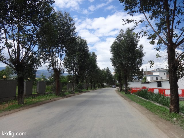 DSC08874