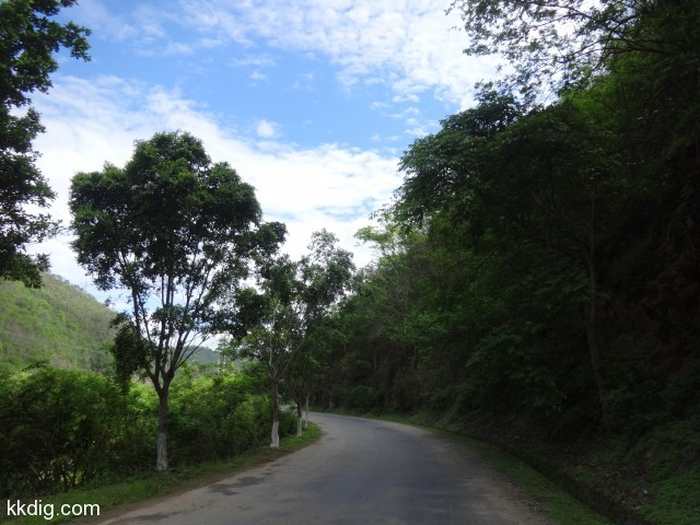 DSC08987