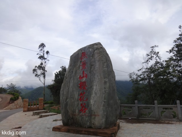 DSC09095