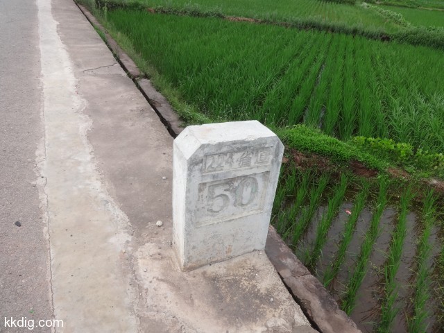 DSC09228