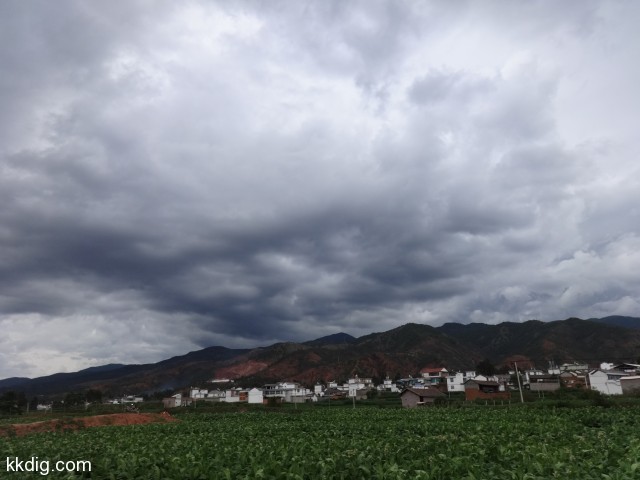 DSC09238