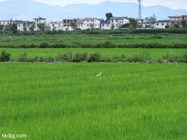 DSC09410