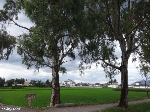 DSC09438