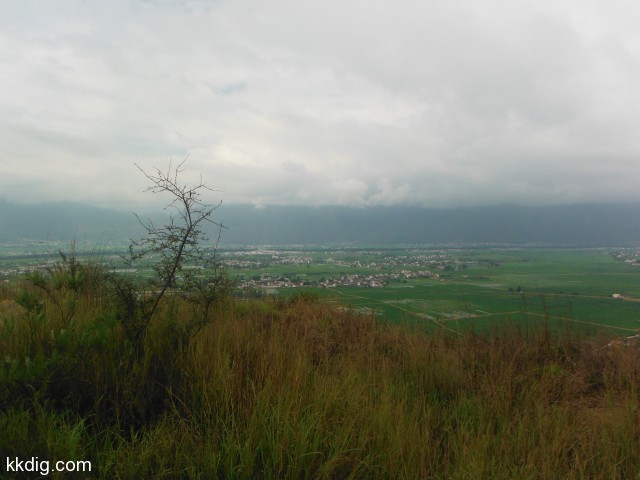 DSCF8608