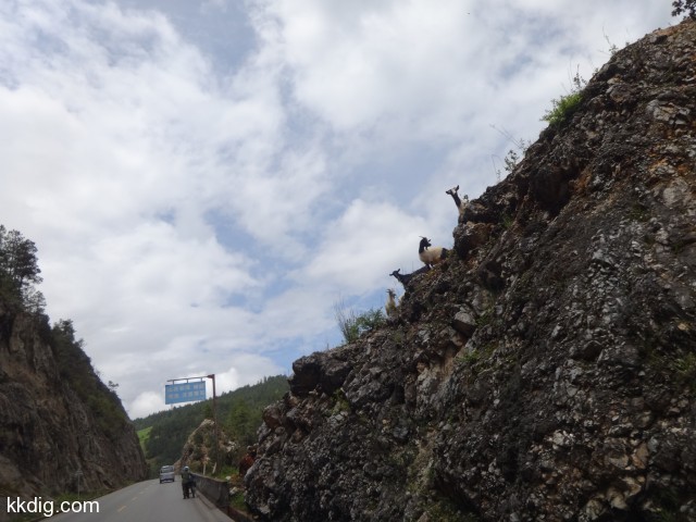 DSC09879