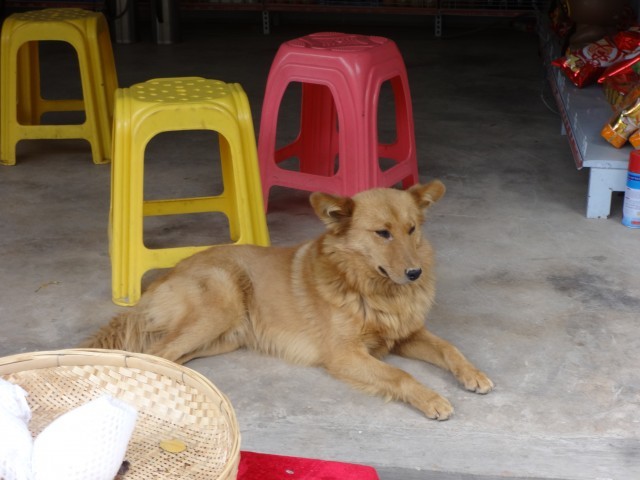 DSC09895
