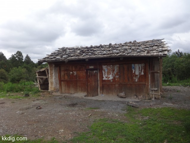 DSC00272