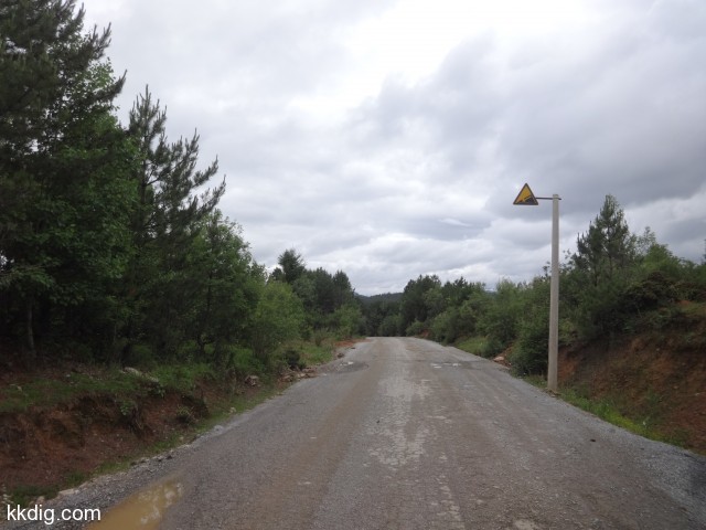 DSC00277