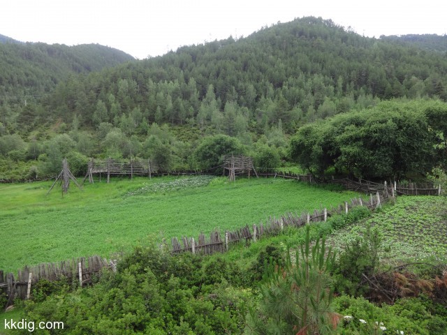 DSC00305