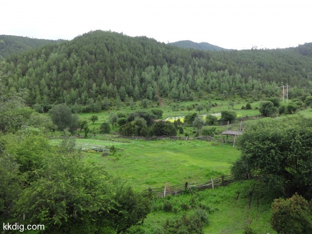 DSC00308