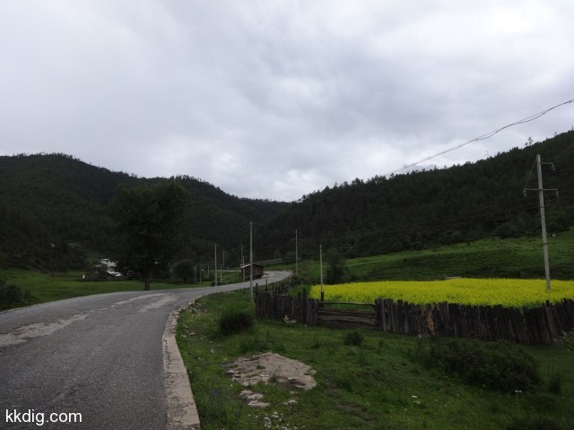 DSC00319
