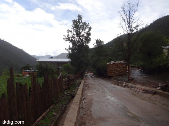 DSC00350