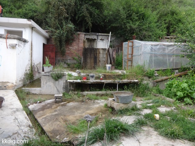 DSC00405
