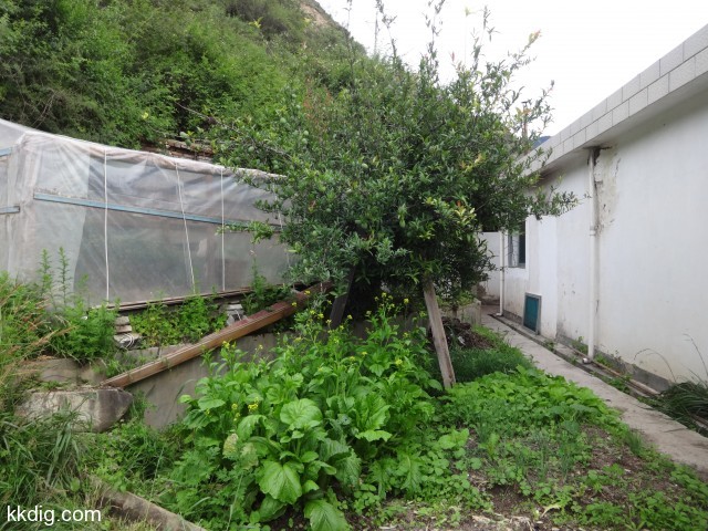 DSC00406
