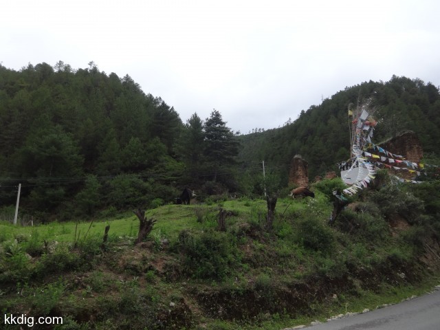 DSC00425