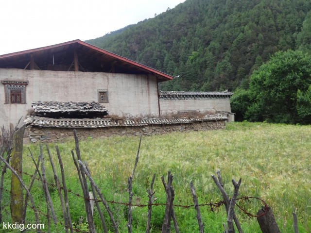 DSC00429