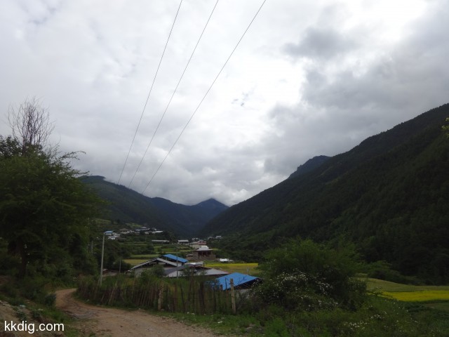 DSC00437