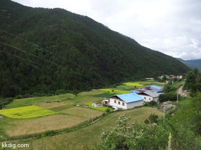 DSC00444