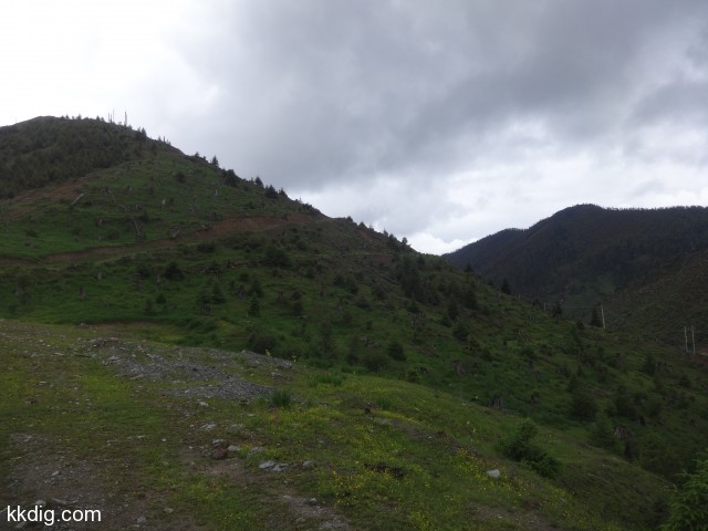 DSC00502
