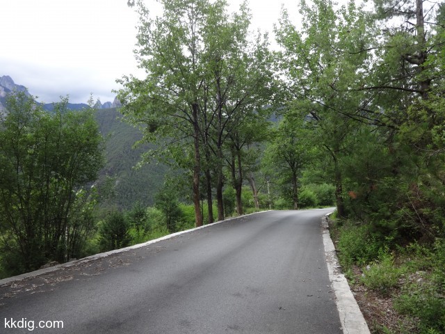DSC00549