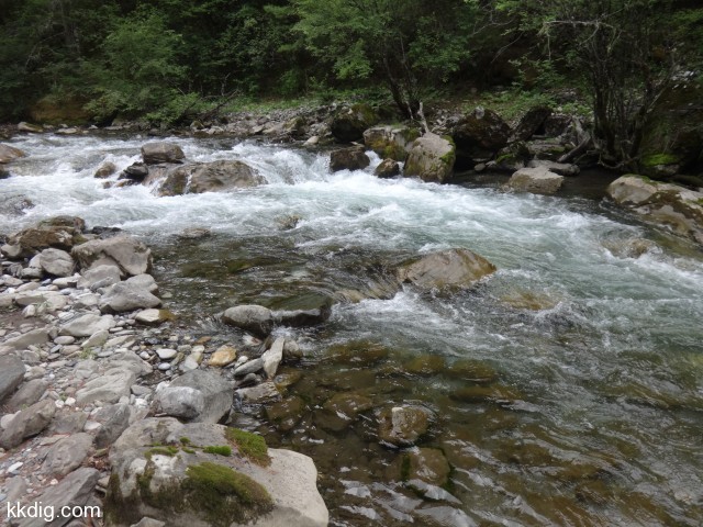 DSC00586