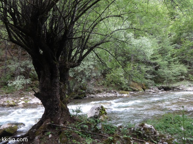 DSC00592