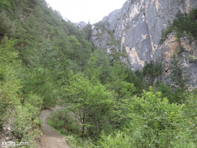 DSC00603