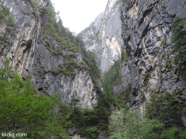 DSC00615