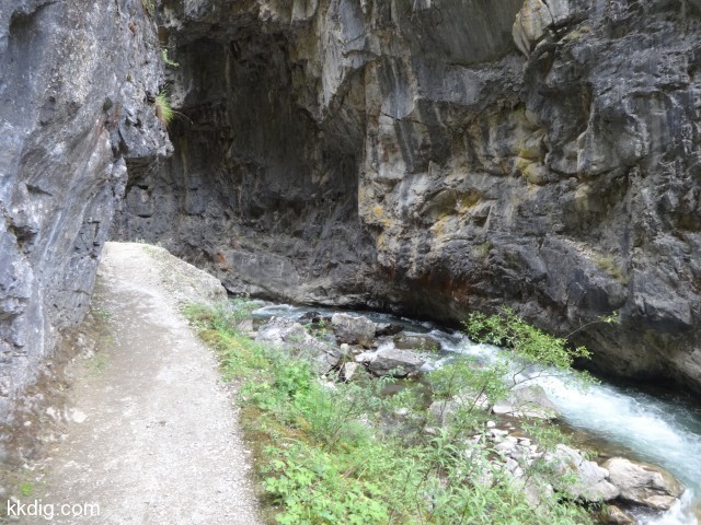 DSC00622