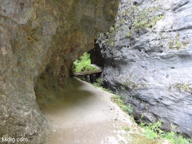 DSC00630