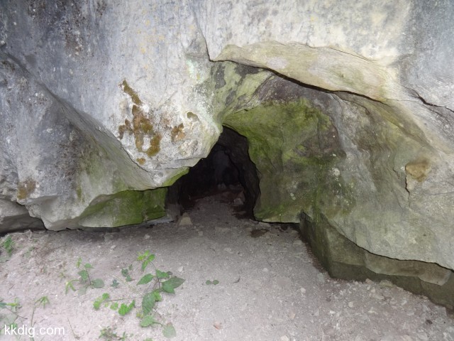 DSC00641
