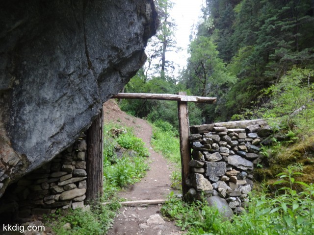 DSC00666