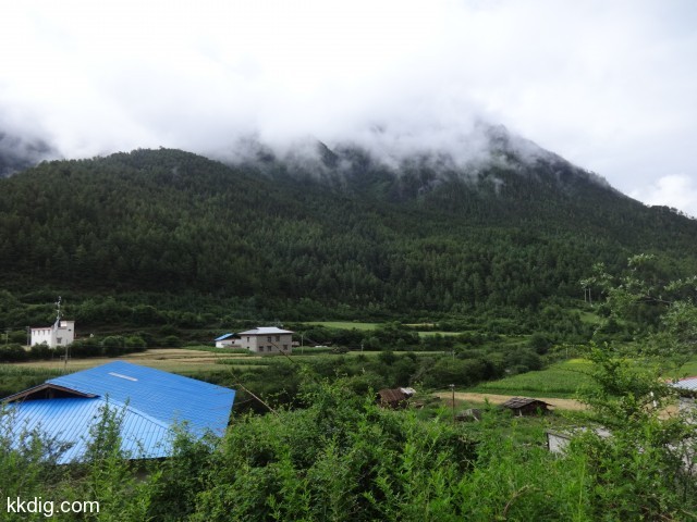 DSC00686