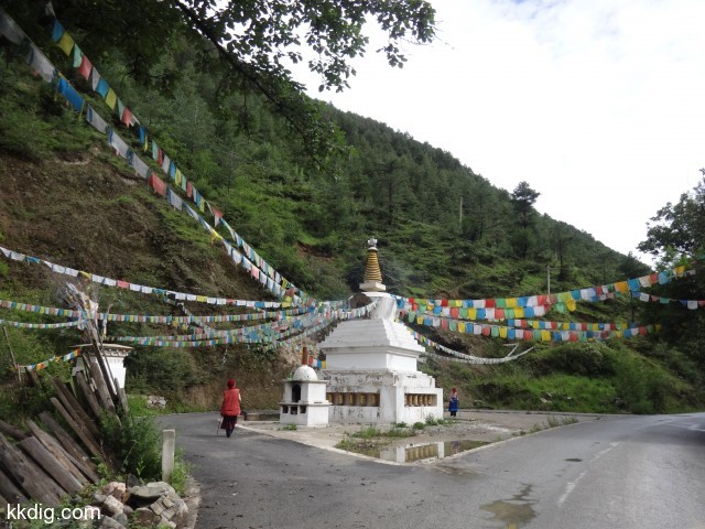 DSC00693