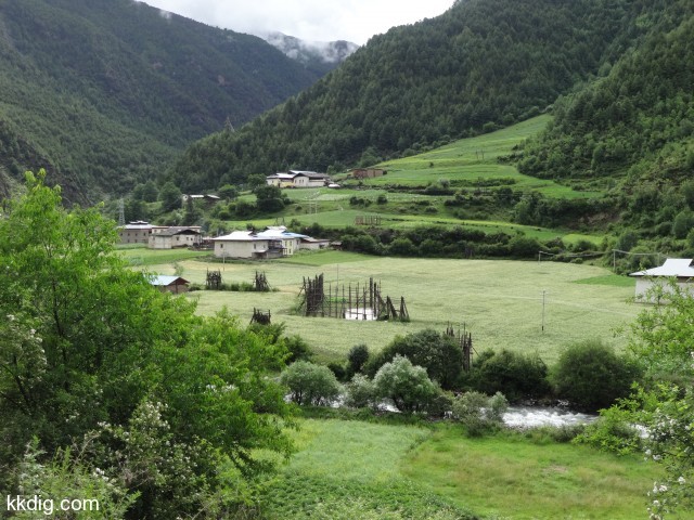 DSC00695