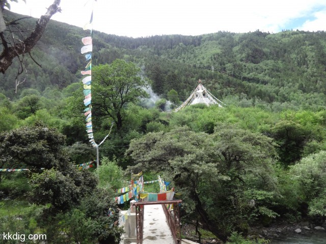 DSC00715