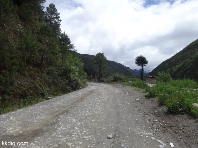 DSC00727