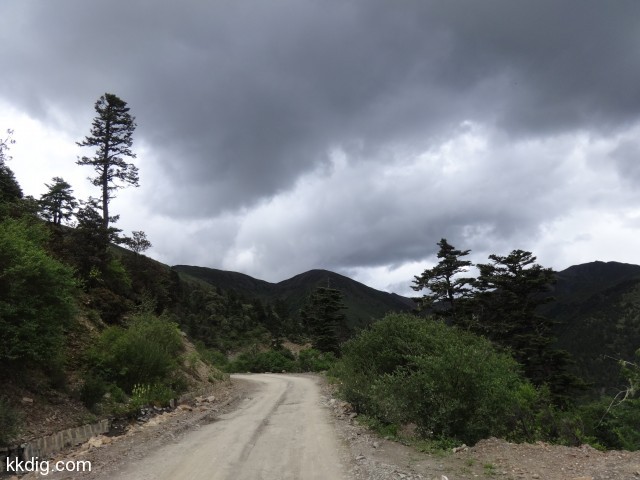 DSC00784