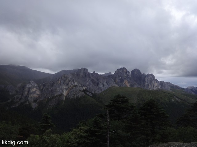 DSC00817