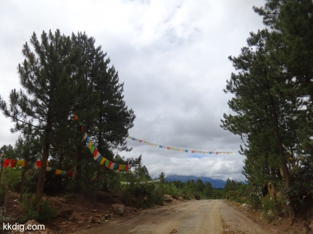 DSC00893