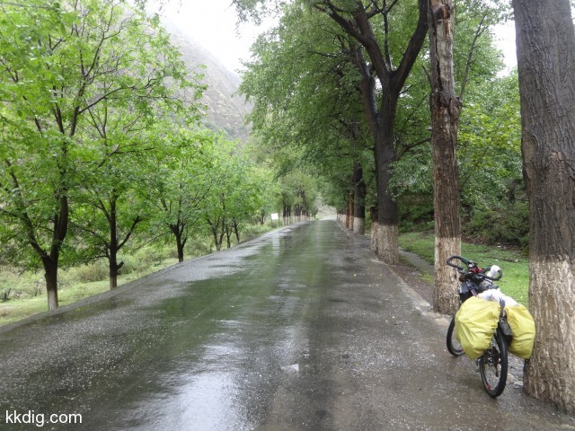 DSC00998