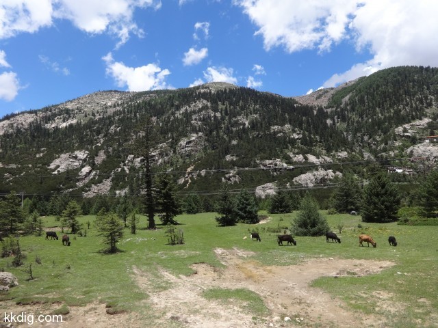 DSC01240