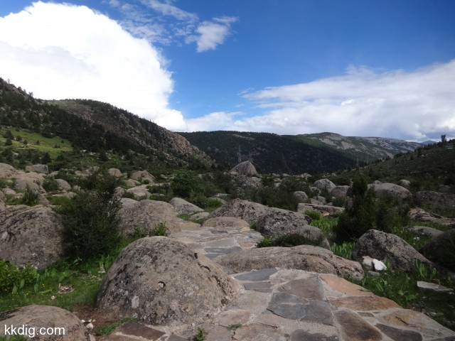 DSC01290