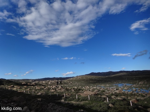 DSC01380