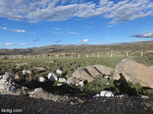DSC01394
