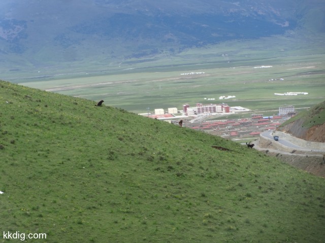 DSC01601