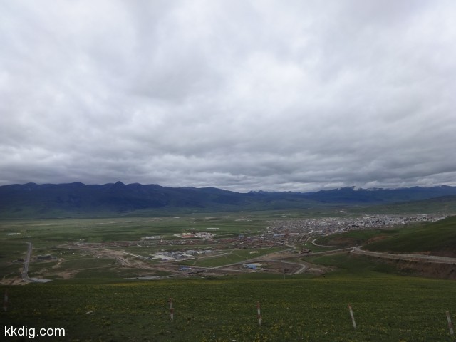 DSC01603