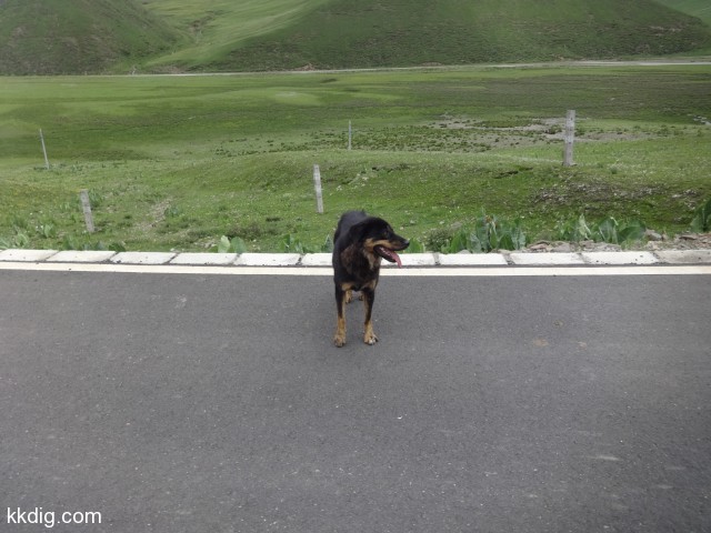 DSC01618