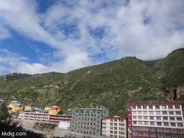 DSC01817